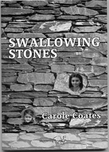 Swallowing Stones book cover